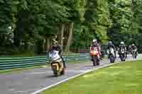 cadwell-no-limits-trackday;cadwell-park;cadwell-park-photographs;cadwell-trackday-photographs;enduro-digital-images;event-digital-images;eventdigitalimages;no-limits-trackdays;peter-wileman-photography;racing-digital-images;trackday-digital-images;trackday-photos